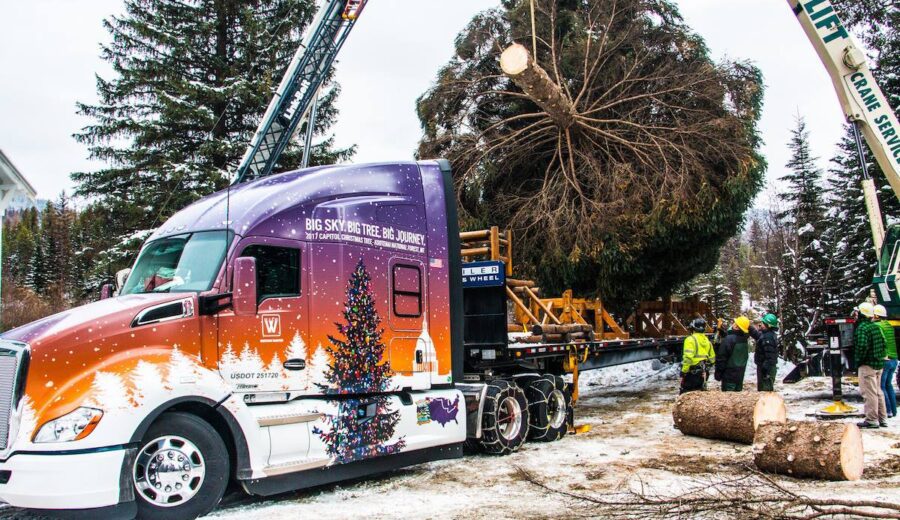 WHITEWOOD TRANSPORT SELECTED TO HAUL THE 2017 U.S. CAPITOL CHRISTMAS TREE